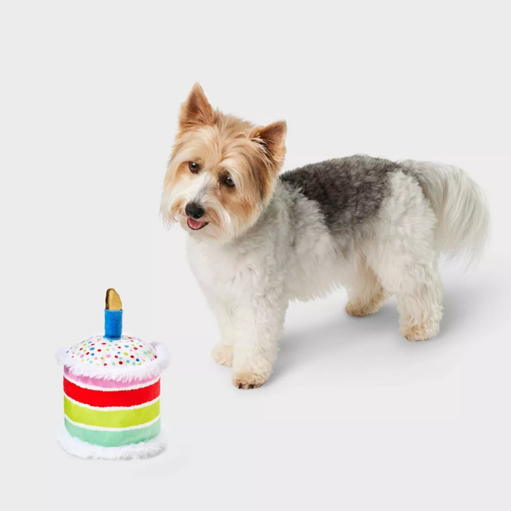Juguete de peluche para perros con forma de tarta de cumpleaños